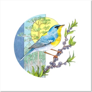 Northern Parula Warbler Posters and Art